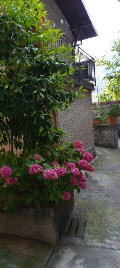 La Casetta Di Vassena Oliveto Lario Exteriör bild