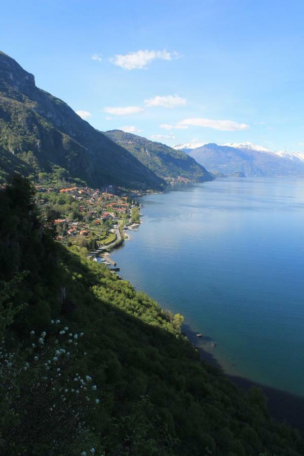 La Casetta Di Vassena Oliveto Lario Exteriör bild